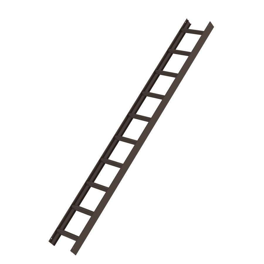 Dachleiter in braun aus Aluminium 10 Sprossen