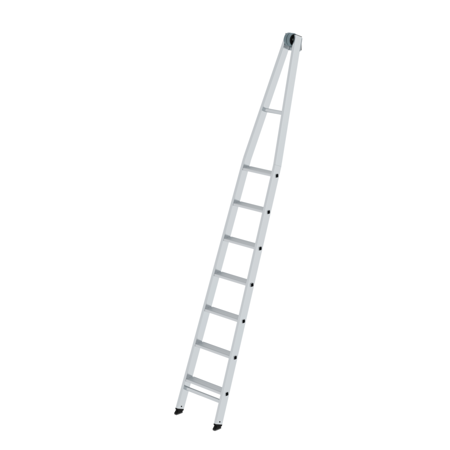 Glasreinigerleiter