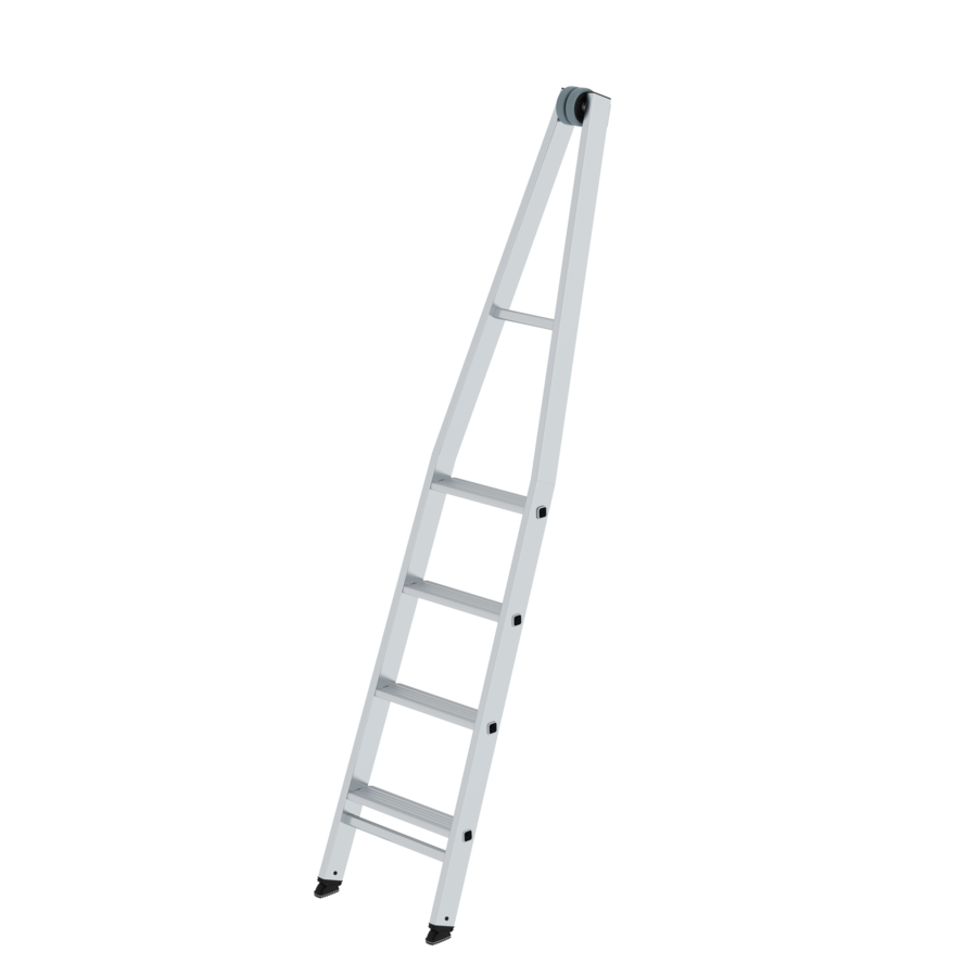 Glasreinigerleiter