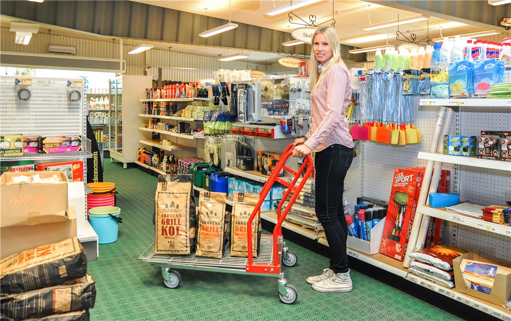 Großgüterwagen mit einer Tragfähigkeit bis 200 kg von Kongamek