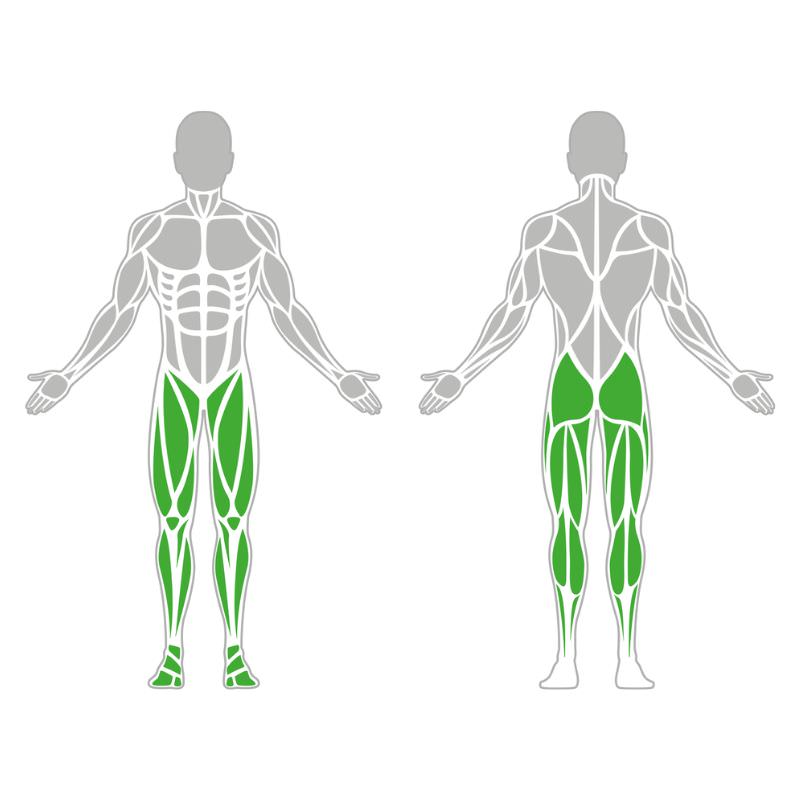 zu trainierende Muskelgruppen