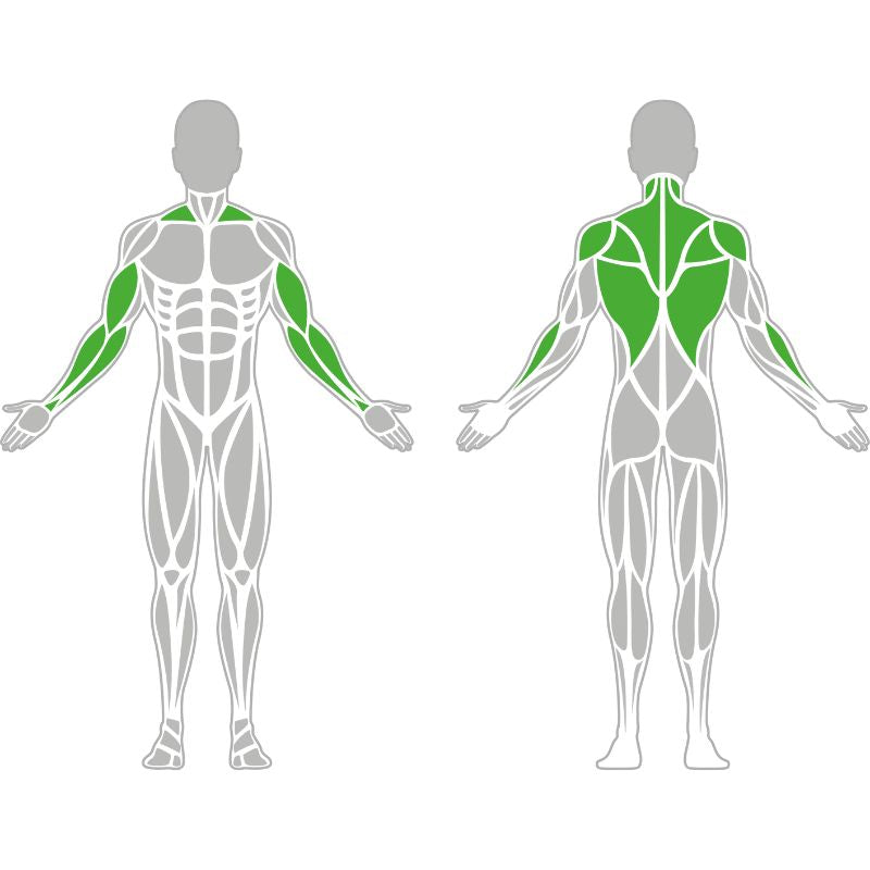 Rudergerät mit Wiederstand für das Outdoor-Gym Muskelgruppen