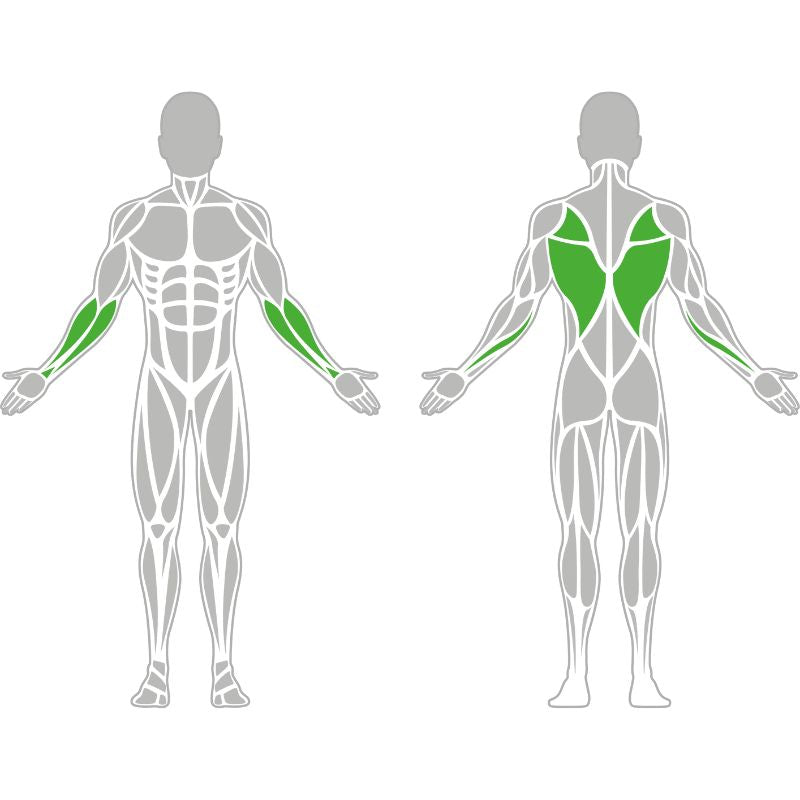 Zugänglicher seitlicher Pull-Down
Muskelgruppen
