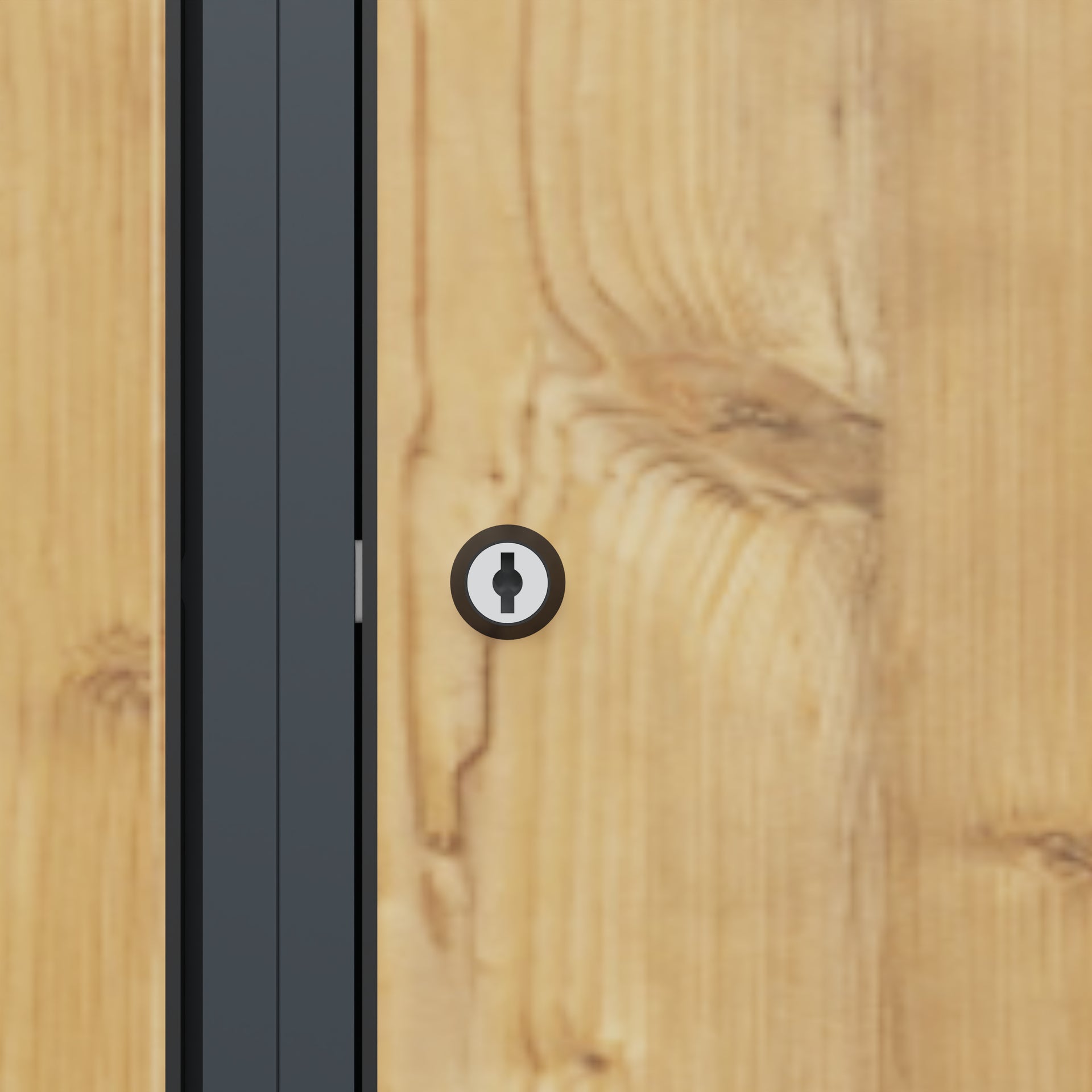Schließfachschrank Evolo PLUS, 3 Fächer, 1850x300x500mm Detail Dekor Fichte