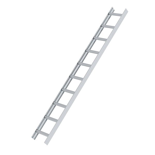 Dachleiter aus Aluminium mit 10 Sprossen