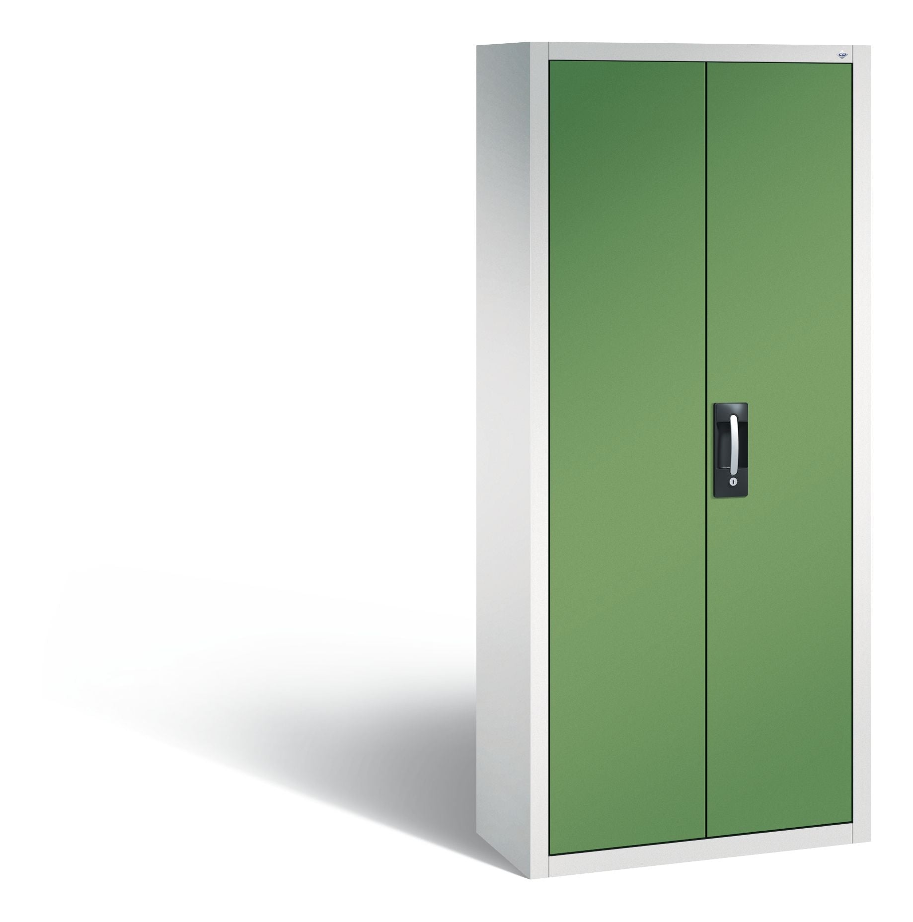 Magazinschrank von C+P in grün