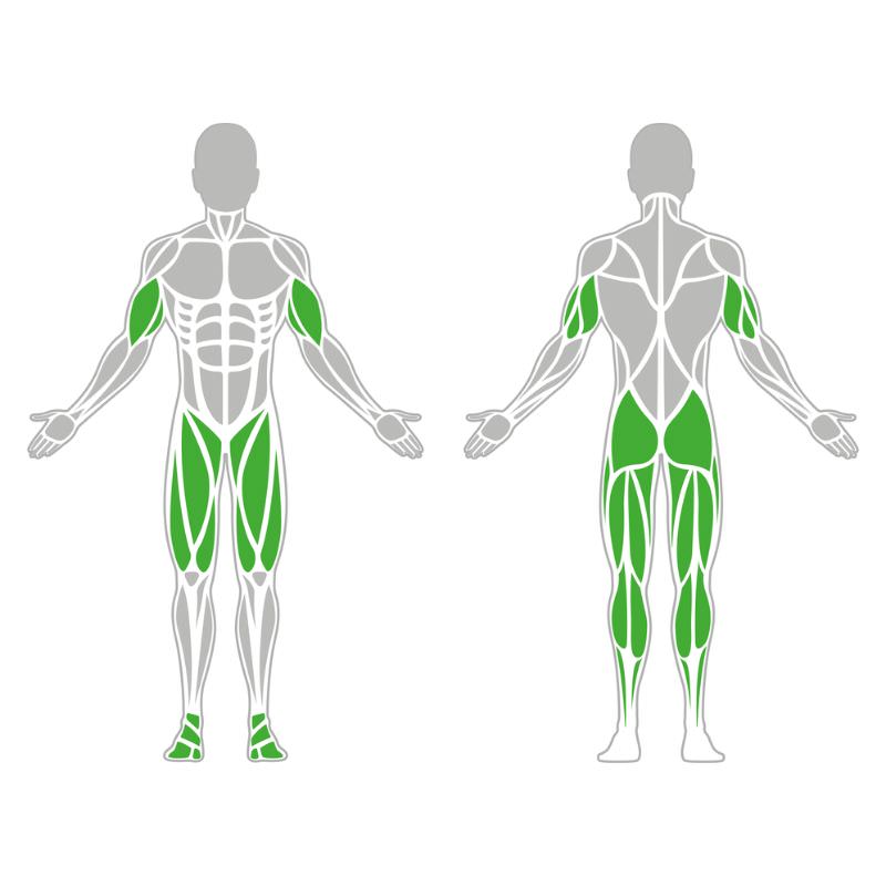 Crosstrainer aus Stahl für Outdoor-Training Muskelgruppen