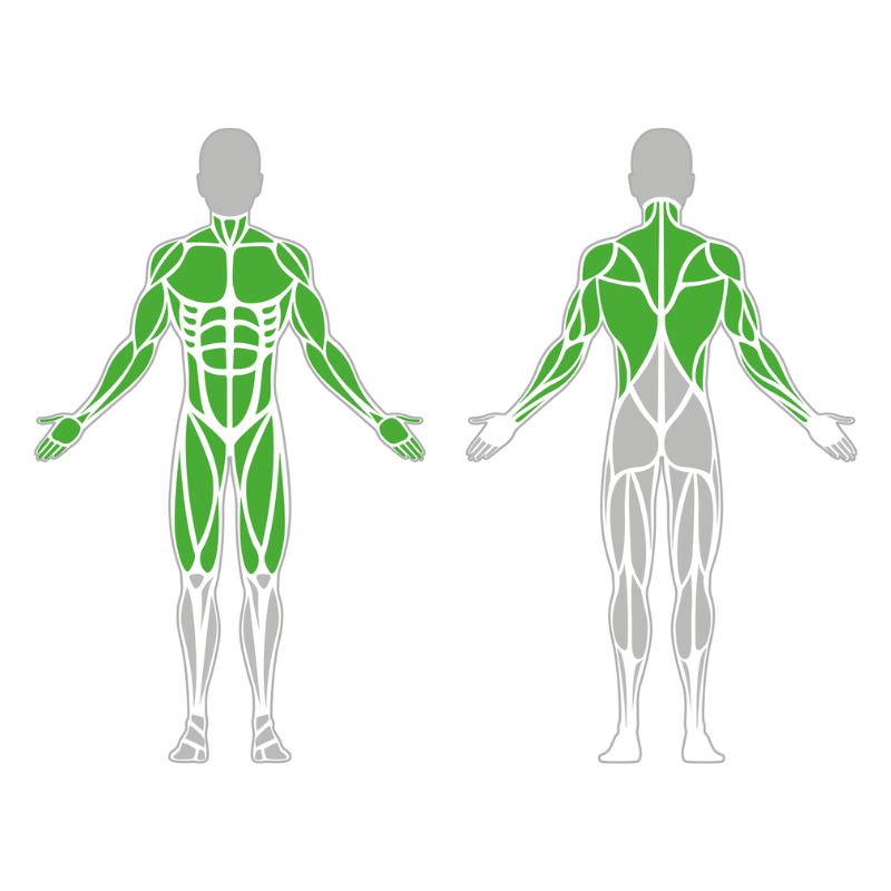 Kombileiter Groß für Outdoor-Fitness & Calisthenics Muskelgruppen