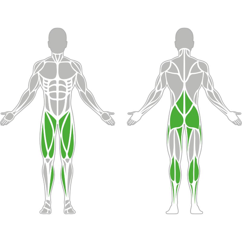 Gewichtete Kniebeugenmaschine aus pulverbeschichteten Stahl Muskeln